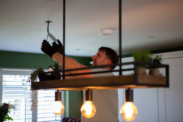 Best Electrical System Inspection  in Zapata, TX