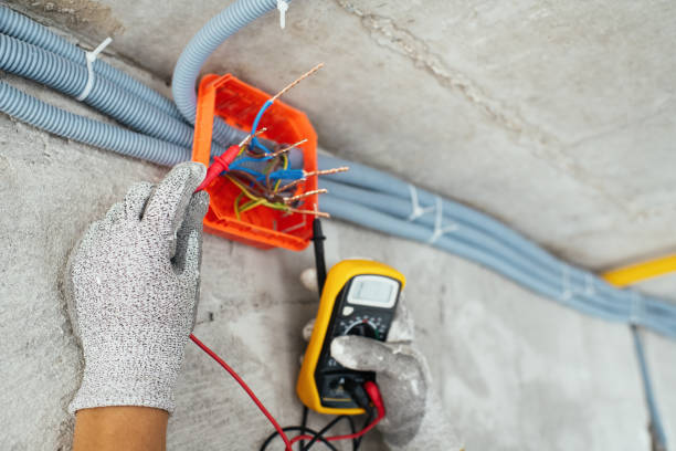 Best Licensed Electrician  in Zapata, TX